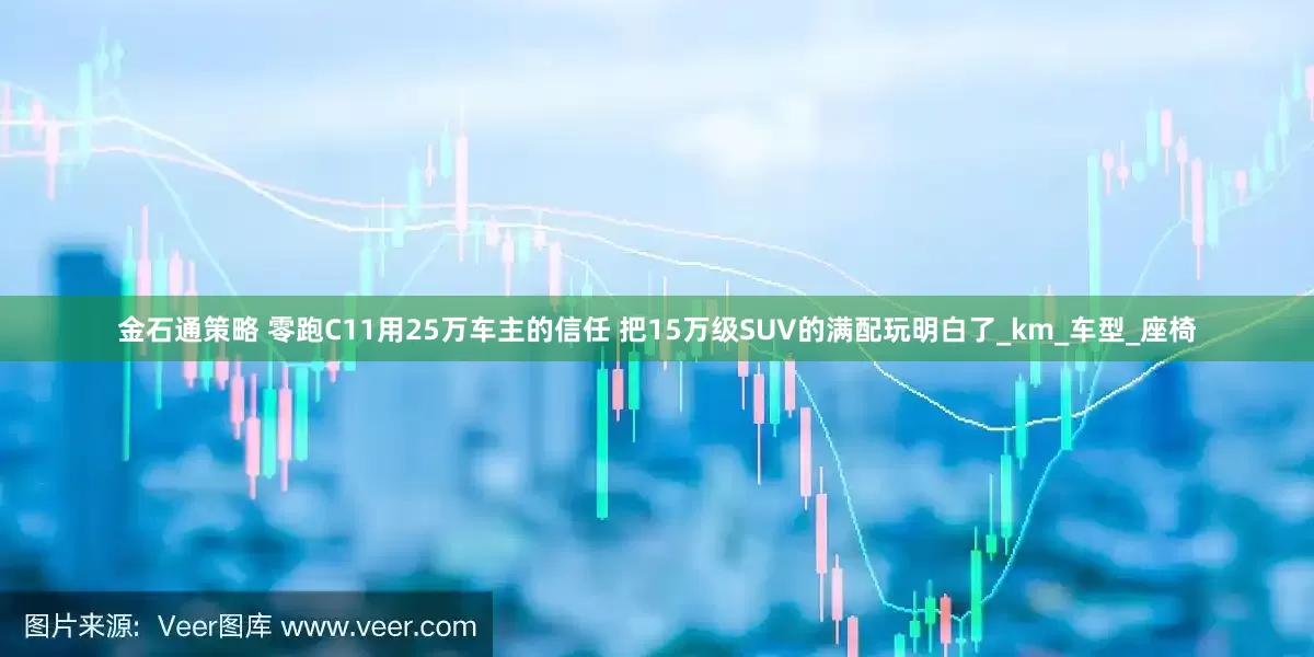 金石通策略 零跑C11用25万车主的信任 把15万级SUV的满配玩明白了_km_车型_座椅